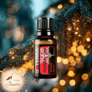 15ml Holiday joy (vrolijke feestdagen blend)